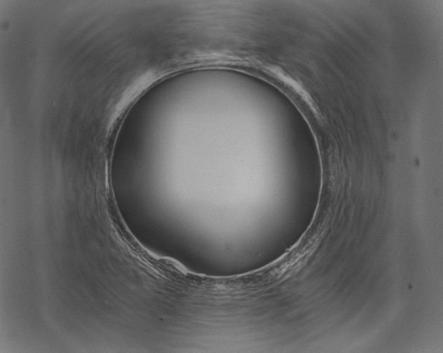 X0000068311365200605051520