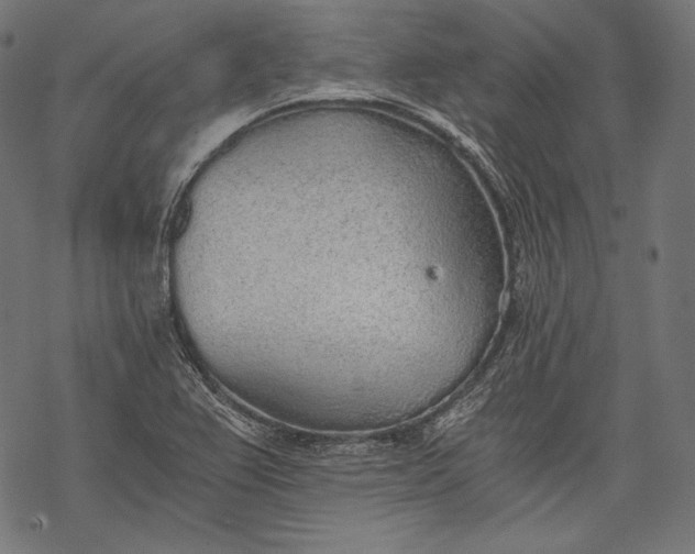 X0000068311367200605051520