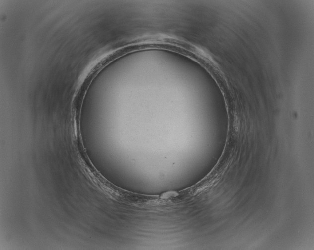 X0000068311368200605051520