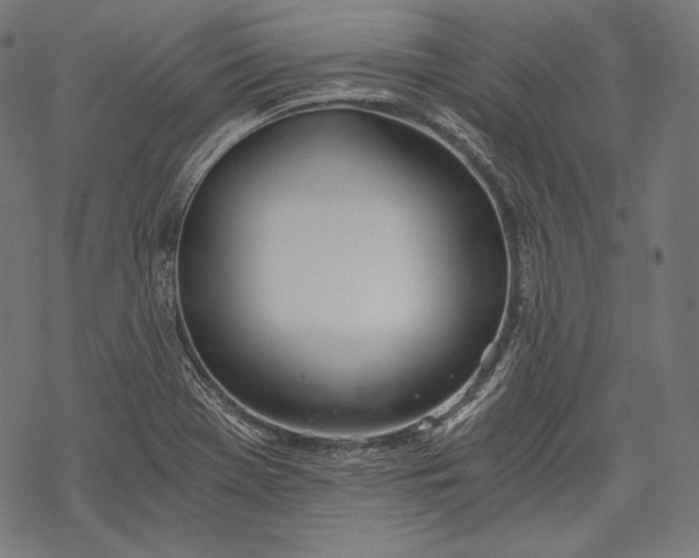 X0000068311369200605051520