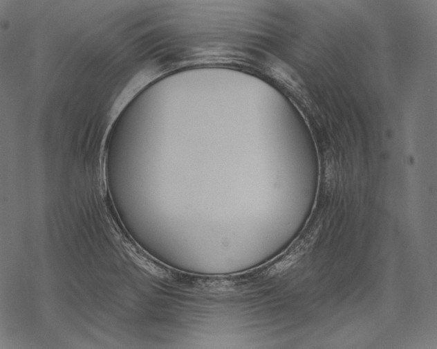 X0000068311370200605051520