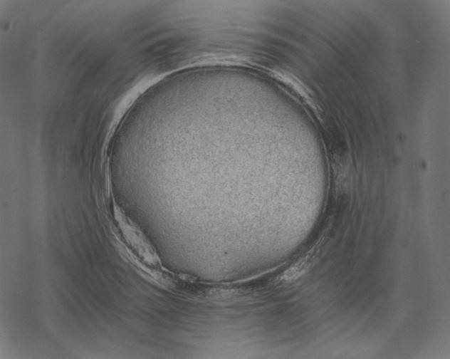 X0000068311371200605051520