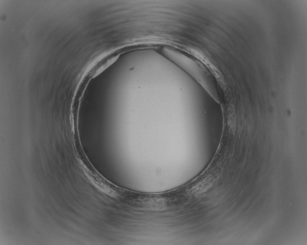 X0000068311372200605051520