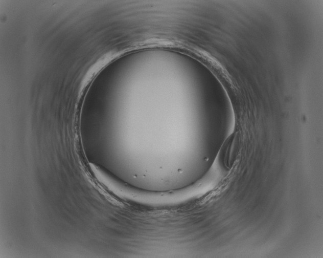 X0000068311373200605051520