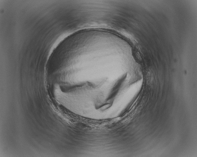 X0000068311374200605051520