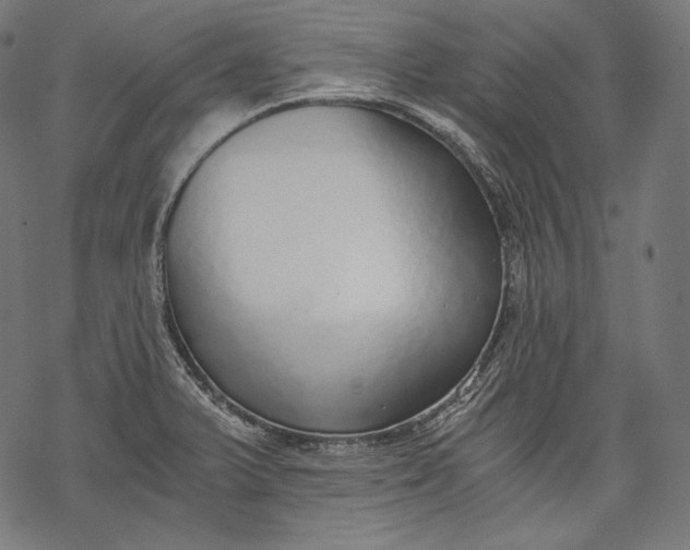 X0000068311375200605051520