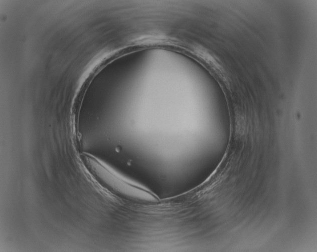 X0000068311376200605051520