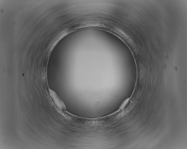 X0000068311377200605051520