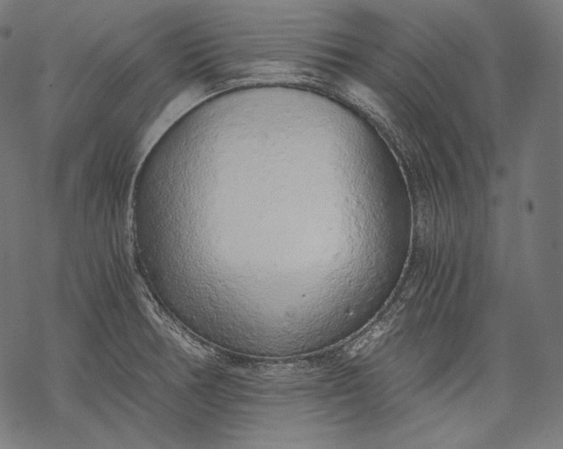 X0000068311378200605051520