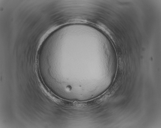 X0000068311379200605051520