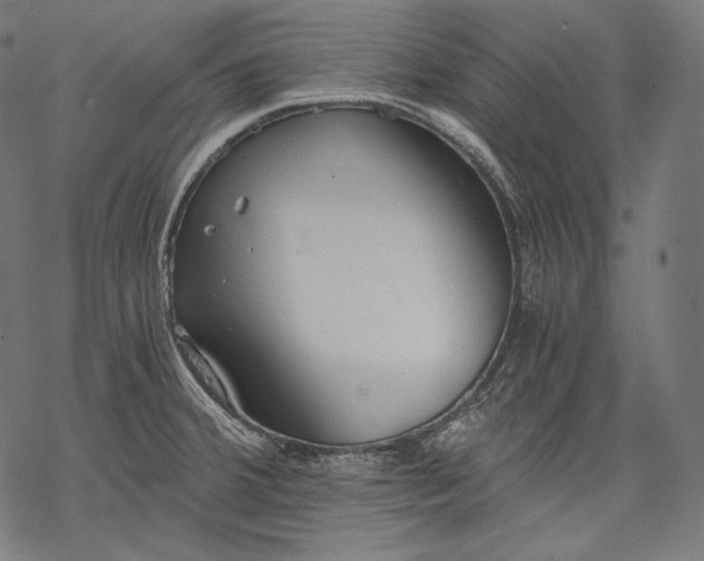 X0000068311380200605051520