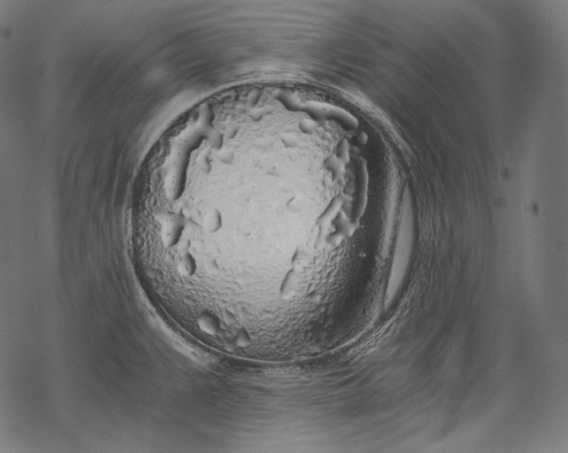 X0000068311383200605051520