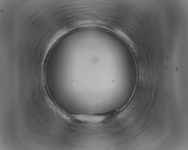 X0000068311384200605051520