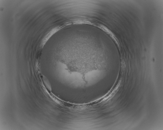 X0000068311385200605051520