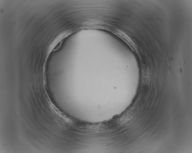 X0000068311386200605051520