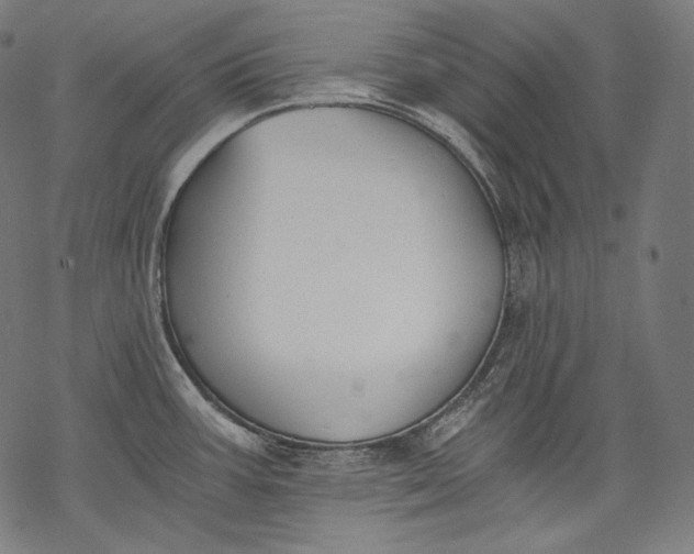 X0000068311387200605051520