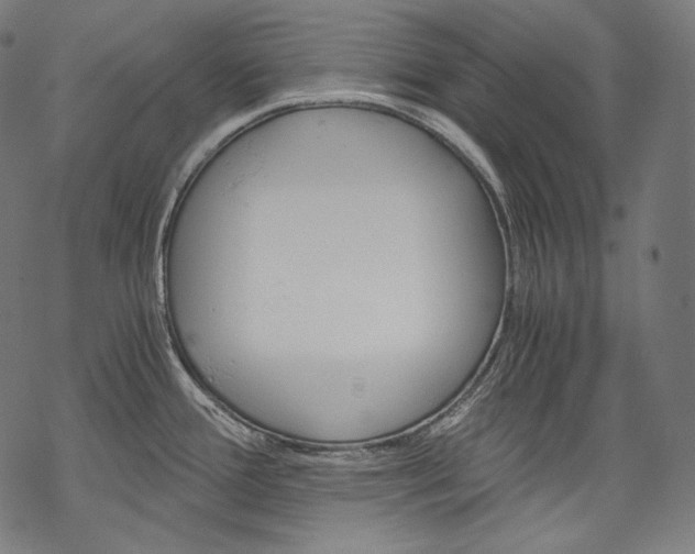 X0000068311388200605051519