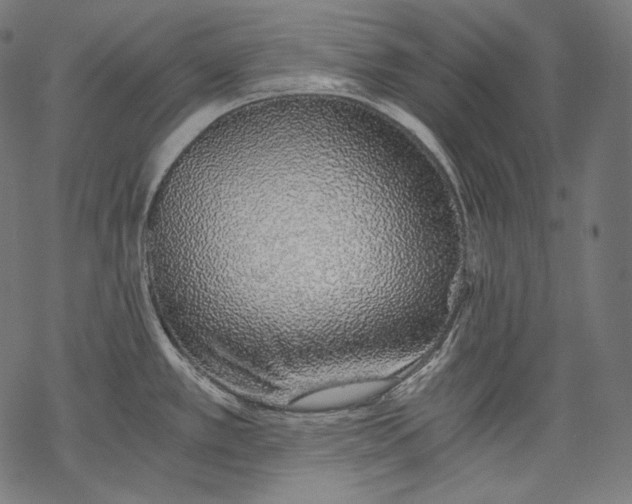 X0000068311389200605051519