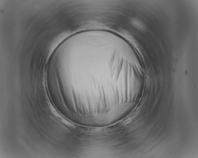 X0000068311390200605051519