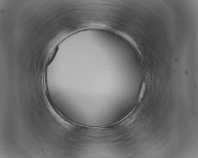 X0000068311391200605051519