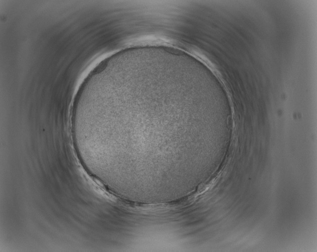 X0000068311392200605051519