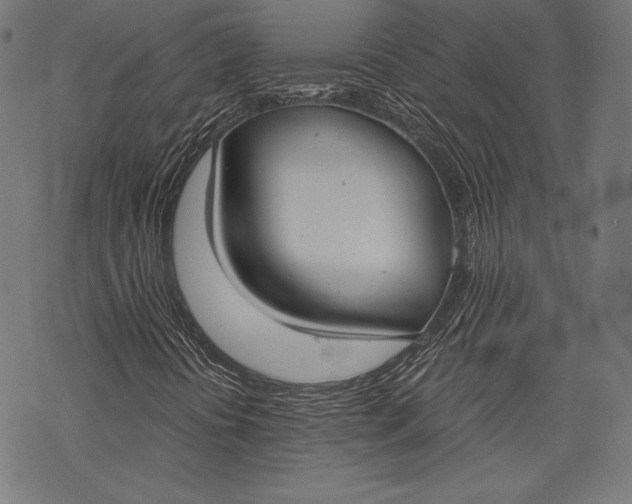 X0000068311394200605051519