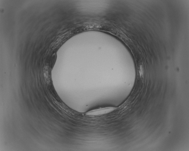 X0000068311396200605051519