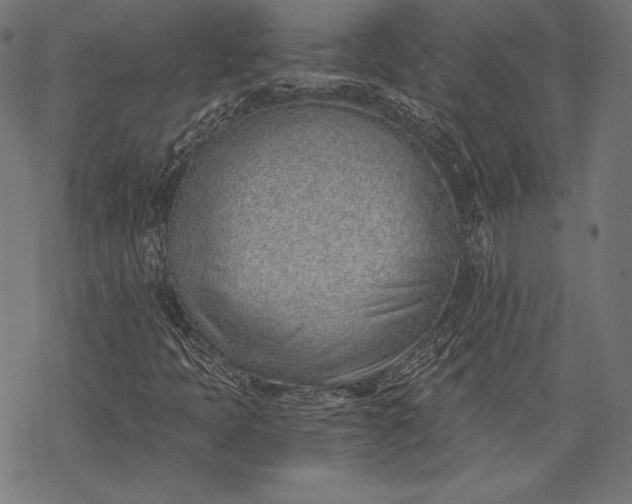 X0000068311397200605051519