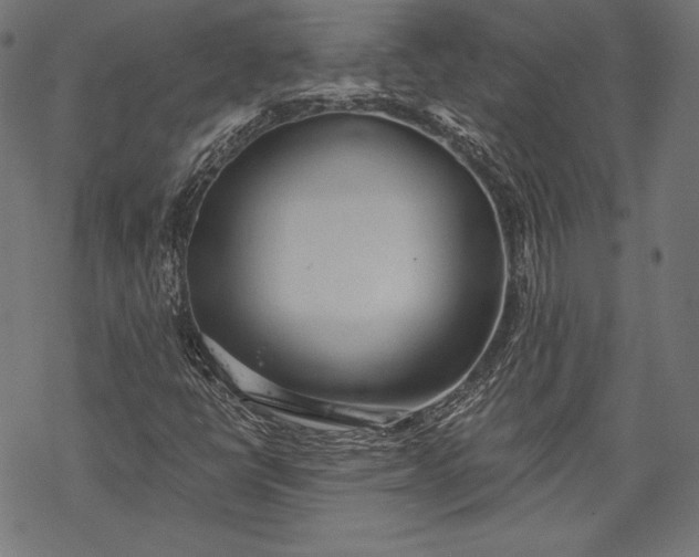 X0000068311398200605051519