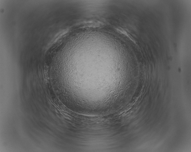 X0000068311399200605051519