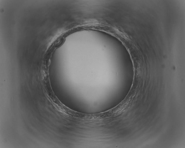 X0000068311400200605051519