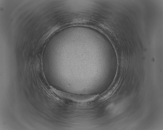 X0000068311401200605051519