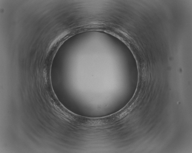 X0000068311402200605051519