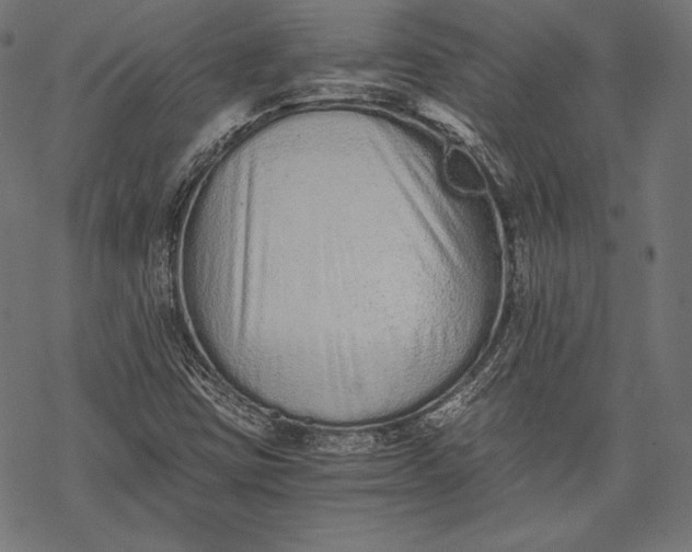 X0000068311403200605051519