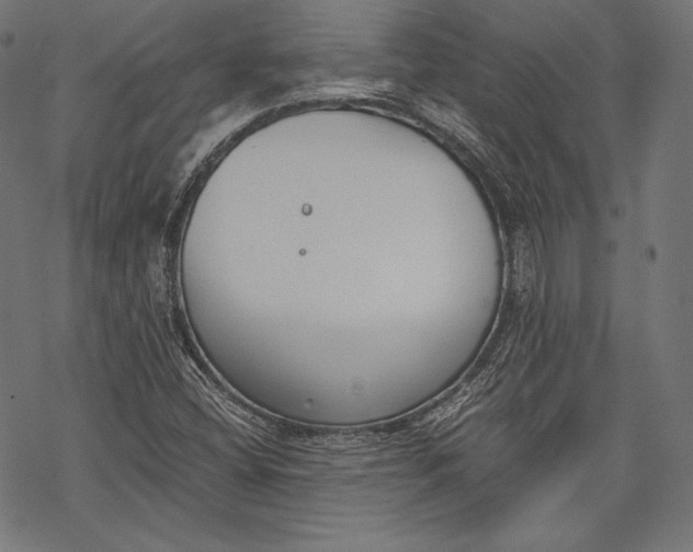 X0000068311404200605051519