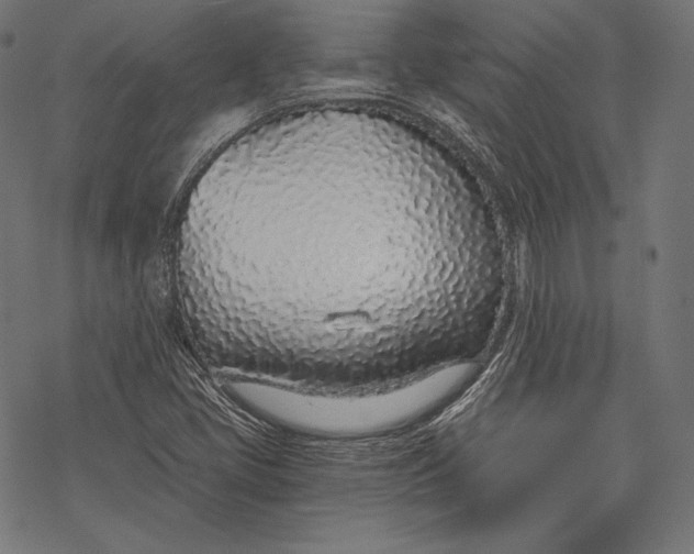 X0000068311405200605051519