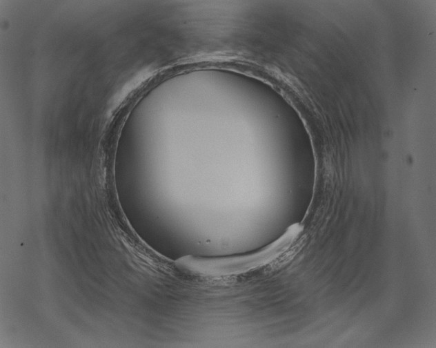 X0000068311406200605051519