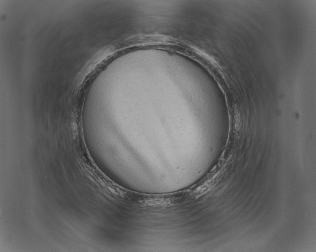 X0000068311407200605051519