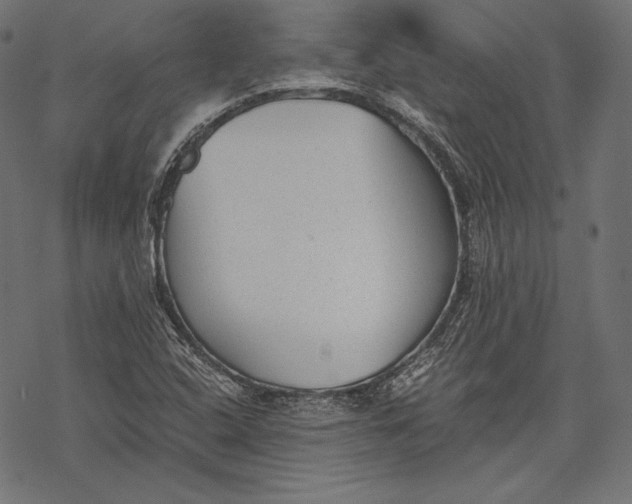 X0000068311408200605051519