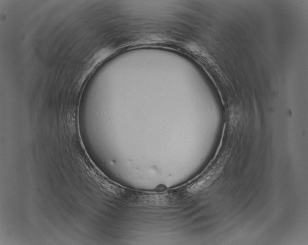 X0000068311409200605051519