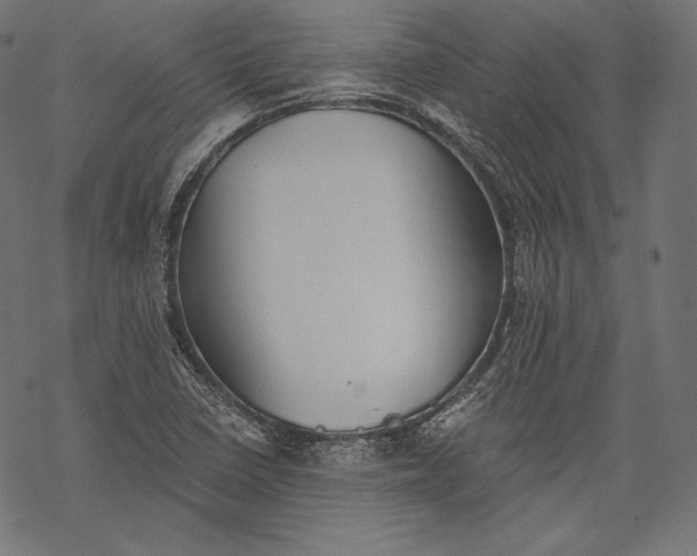 X0000068311410200605051519