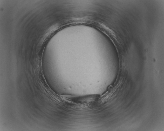 X0000068311411200605051519