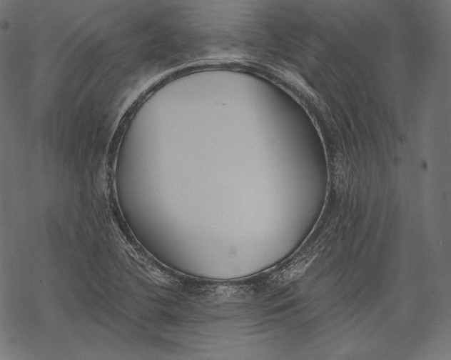 X0000068311412200605051519