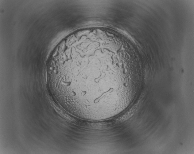 X0000068311413200605051519