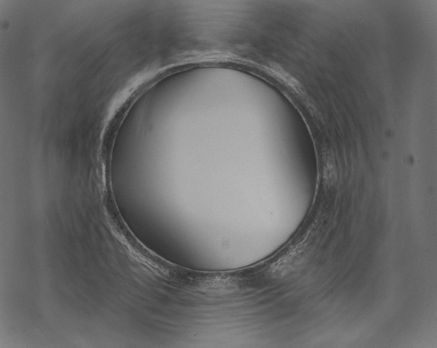 X0000068311414200605051519