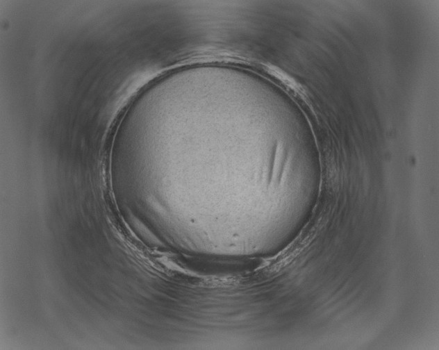 X0000068311415200605051519