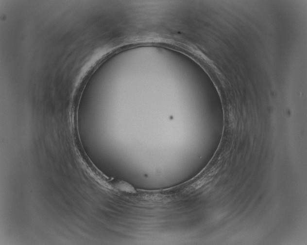 X0000068311416200605051519