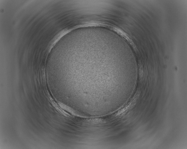 X0000068311417200605051519