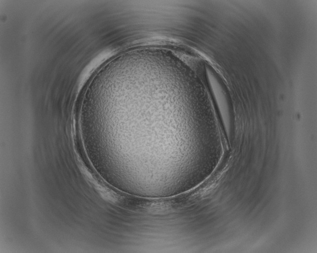 X0000068311418200605051519