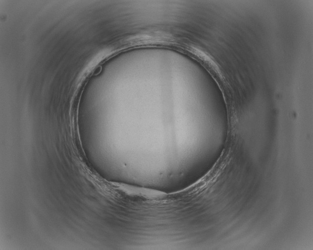 X0000068311419200605051519